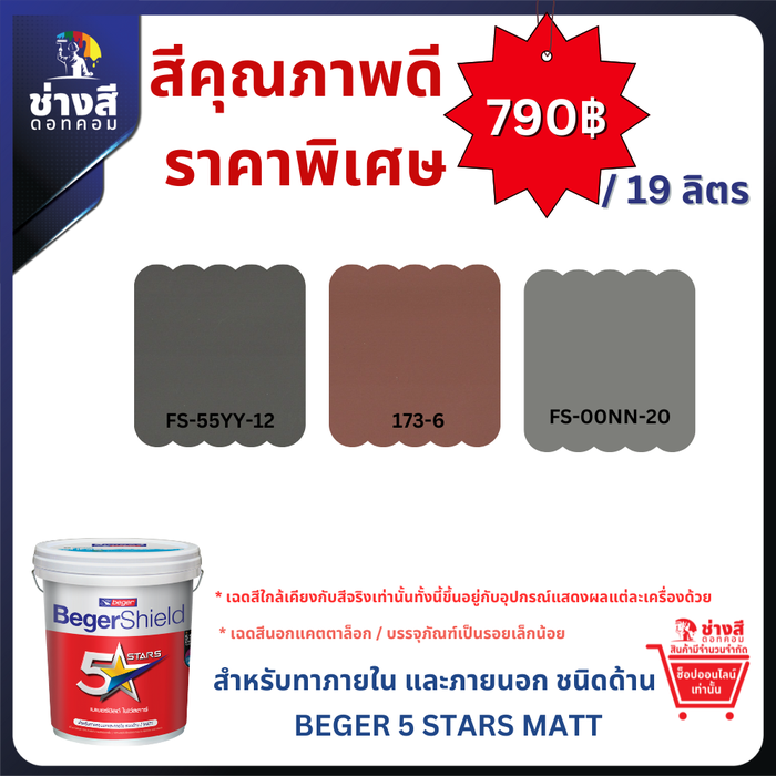 BegerShield 5 Stars for Exterior & Interior เบเยอร์ชิลด์ ไฟว์สตาร์ ชนิดด้าน